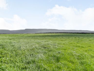 A green grassy field with a stone wall and hills in the background at Berts Cottage Heights near Appleby-in-Westmorland