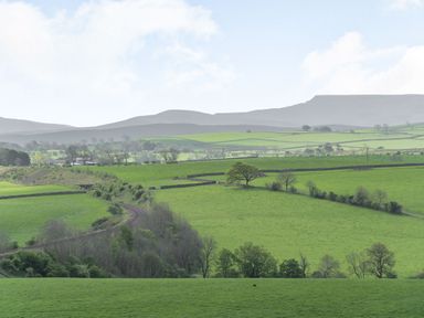 Green fields with trees and stone walls with railway tracks running through a rural landscape at Berts Cottage Heights near Appleby-in-Westmorland