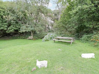A grassy outdoor area with a wooden bench a picnic table and blossoming bushes surrounded by trees at Is Y Deri in Harlech