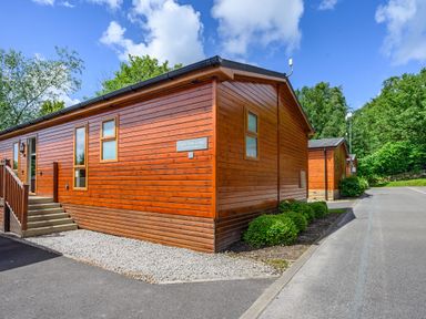 A wooden lodge with stairs and small bushes next to a paved road at Claife View Lodge in Troutbeck Bridge