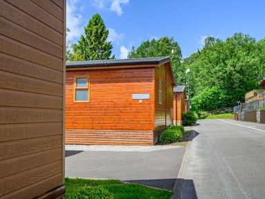 Wooden lodges along a paved road with greenery and trees at Claife View Lodge in Troutbeck Bridge