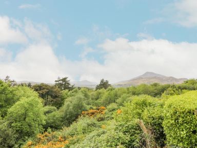 A landscape with green trees and bushes with yellow flowers and hills in the background at Creeslough View Creeslough near Glenveagh National Park County Donegal
