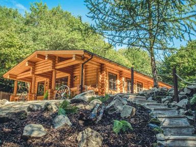 A log cabin with a porch and stone steps surrounded by trees and rocks at Wilderness Lodge in Stiperstones