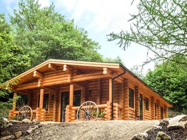 A wooden log cabin with a porch and wagon wheels surrounded by trees at Wilderness Lodge in Stiperstones