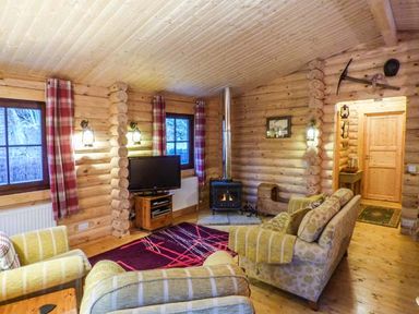 A living room with sofas a television and a fireplace at Wilderness Lodge in Stiperstones