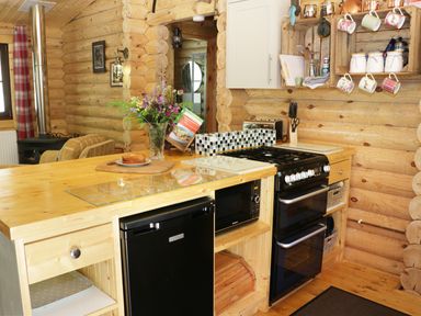 A wooden kitchen with a stove microwave and fridge with mugs hanging on a shelf at Wilderness Lodge in Stiperstones
