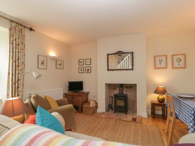 A living room with a wood burning stove a sofa a television and a dining table with a blue checkered tablecloth at Drover's in Sutton Mallet