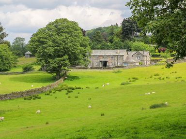 A green field with grazing sheep a large tree and stone buildings surrounded by trees at Buttermere Sawrey near Hawkeshead