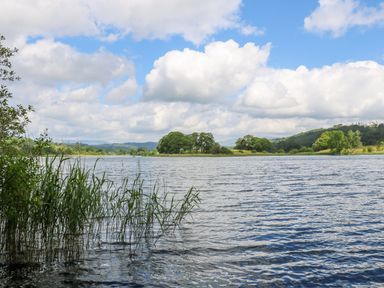 A lake with reeds in the foreground and trees in the distance under a partly cloudy sky at Buttermere Sawrey near Hawkeshead