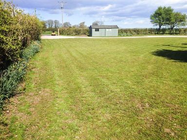 A grassy yard with a small shed and a hedge with plants along one side at Wold Cottage in Hunmanby