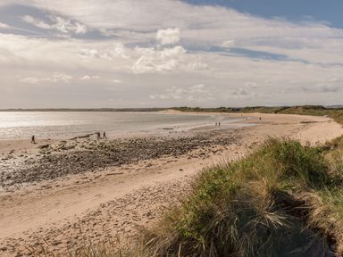 A sandy beach with scattered rocks and people walking near the shoreline with dunes and grassy vegetation at Rock Rose in Beadnell