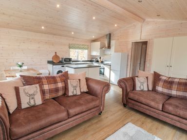 A living area with two brown sofas and a kitchen with white cabinets and appliances at Thorntree Lodge in Rowsley