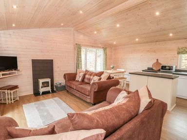 A living room with two brown sofas a small electric fireplace a dining table and a kitchen island at Thorntree Lodge in Rowsley