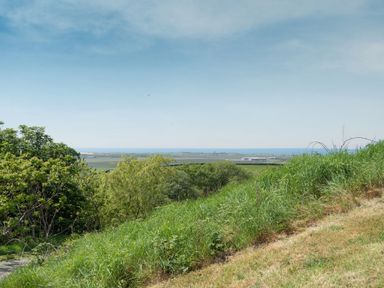 A grassy hill with trees overlooking fields and a distant sea view at Y Becws Llanbedr near Harlech