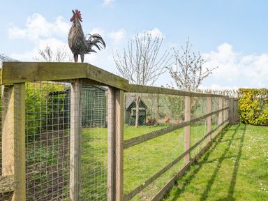 A fenced garden with a metal rooster on the gate a shed small trees and chickens at Harvest Moon in Grundisburgh