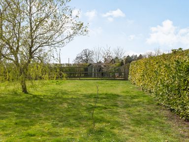 A grassy backyard with a tree on the left a hedge on the right and a wooden fence with a shed and trees behind at Harvest Moon in Grundisburgh
