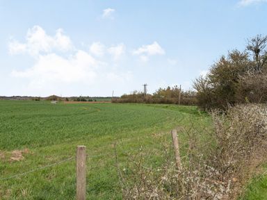 A green field with a wire fence and bushes under a blue sky at Harvest Moon in Grundisburgh