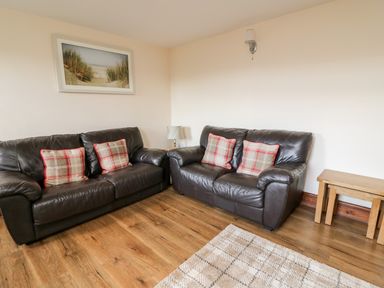 A living room with two leather sofas with cushions wooden floor and a framed picture at Green Cottage in Pant-y-Dwr near Rhayader