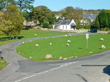 A grassy road roundabout with sheep grazing near houses at Corner Cottage in Reynoldston near Swansea