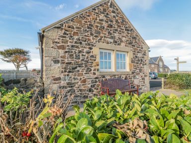 A stone cottage with a wooden bench outside and green bushes in front at Long Cart Cottage in Embleton