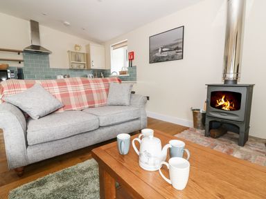 A living room with a grey sofa covered with a red plaid blanket next to a wood burning stove and a wooden coffee table with a teapot and mugs at Y Felin - Moana Borth near Aberystwyth