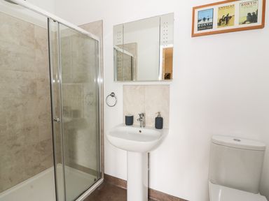 A bathroom with a shower enclosure sink toilet and a framed picture on the wall at Y Felin - Moana in Borth near Aberystwyth