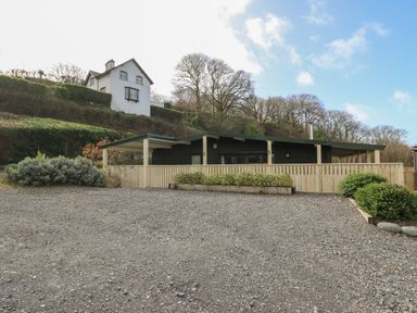 A gravel driveway leading to a modern house with a wooden fence and shrubs at Y Felin - Moana in Borth near Aberystwyth