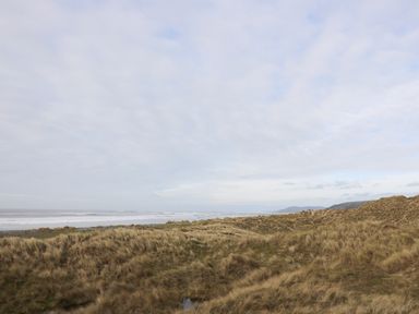 A coastal landscape with grassy dunes and the sea under a cloudy sky at Y Felin - Moana in Borth near Aberystwyth