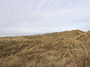 Sand dunes with grass by the coast with hills and sea in the background at Y Felin - Moana in Borth near Aberystwyth
