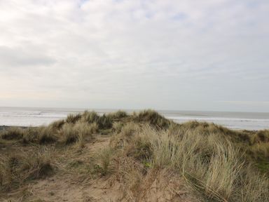 A sandy beach with dunes and grass near the ocean at Y Felin - Moana in Borth near Aberystwyth