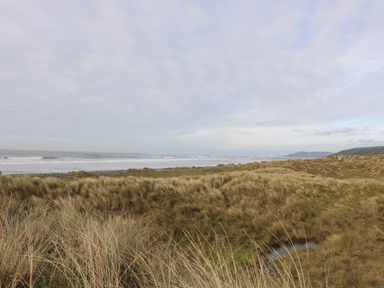 A coastal landscape with grassy dunes and the sea in the background at Y Felin - Moana in Borth near Aberystwyth