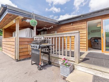 An outdoor wooden deck area with a barbecue grill and a potted plant at Kingfisher Lodge in Brandesburton