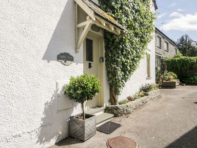 The entrance of a white cottage with a potted plant and ivy on the wall at Gable End in Coniston near Hawkshead