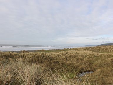 A coastal landscape with grassy dunes and the sea in the background at Y Felin - Celyn in Borth