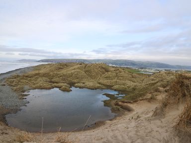 A coastal landscape with sand dunes and a small water body near the beach at Y Felin - Celyn in Borth