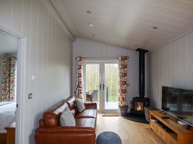A living room with a leather sofa wood burning stove and television at Crook Lodge in Allithwaite near Grange-over-Sands