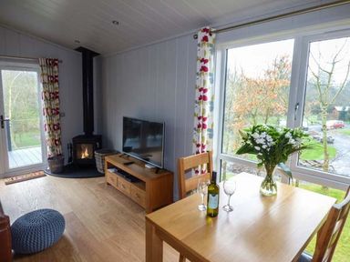 A dining table with flowers and wine glasses near a large window and a television on a wooden stand beside a wood stove at Crook Lodge in Allithwaite near Grange-over-Sands
