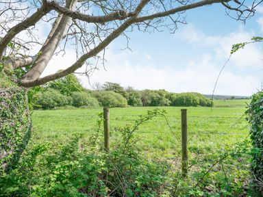 A grassy field with a barbed wire fence and trees in the background at Highbury in Spittal near Haverfordwest