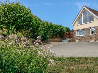 A garden with flowers and bushes next to a detached house with stone and yellow walls at Treview in Launceston