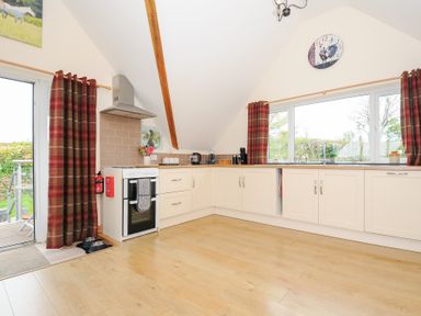 A kitchen with white cabinets a stove and red plaid curtains at Treview in Launceston