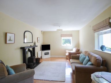 A living room with beige sofas a rug a TV and a wood burning stove at Woodbine Cottage in Old Leighlin near Kilkenny County Kilkenny