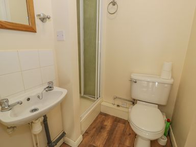 A bathroom with a toilet a sink and a shower at Bryn Melyn Artists Cottage Llanelltyd near Dolgellau