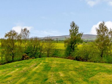 A grassy field with several trees and hills in the background at Harbottle Lodge in Longframlington near Alnwick