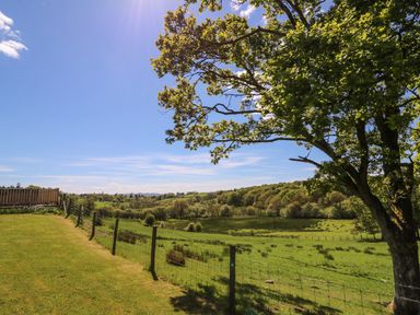 A grassy field with a wire fence and trees under a clear blue sky at Foxes Meadow in Howey near Llandrindod Wells