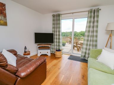 A living room with brown leather armchair green sofa TV and glass doors opening to a patio at Foxes Meadow in Howey near Llandrindod Wells