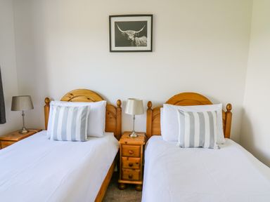 A bedroom with two single beds a nightstand with a lamp and a picture of a bull at Foxes Meadow in Howey near Llandrindod Wells