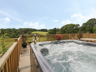 An outdoor deck with a hot tub a bottle of wine and glasses overlooking a grassy hillside at Pheasant Wood in Howey near Llandrindod Wells