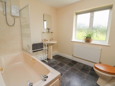 A bathroom with a bathtub shower sink mirror toilet and window with a plant at Pheasant Wood in Howey near Llandrindod Wells