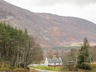 A white house with a fenced yard near a forest and hills in the background at Wildcat Lodge in Newtonmore