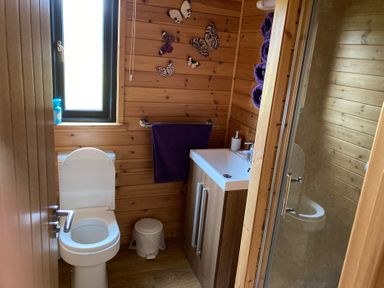 A bathroom with a toilet sink cabinet shower and butterfly wall decorations at Wildcat Lodge in Newtonmore